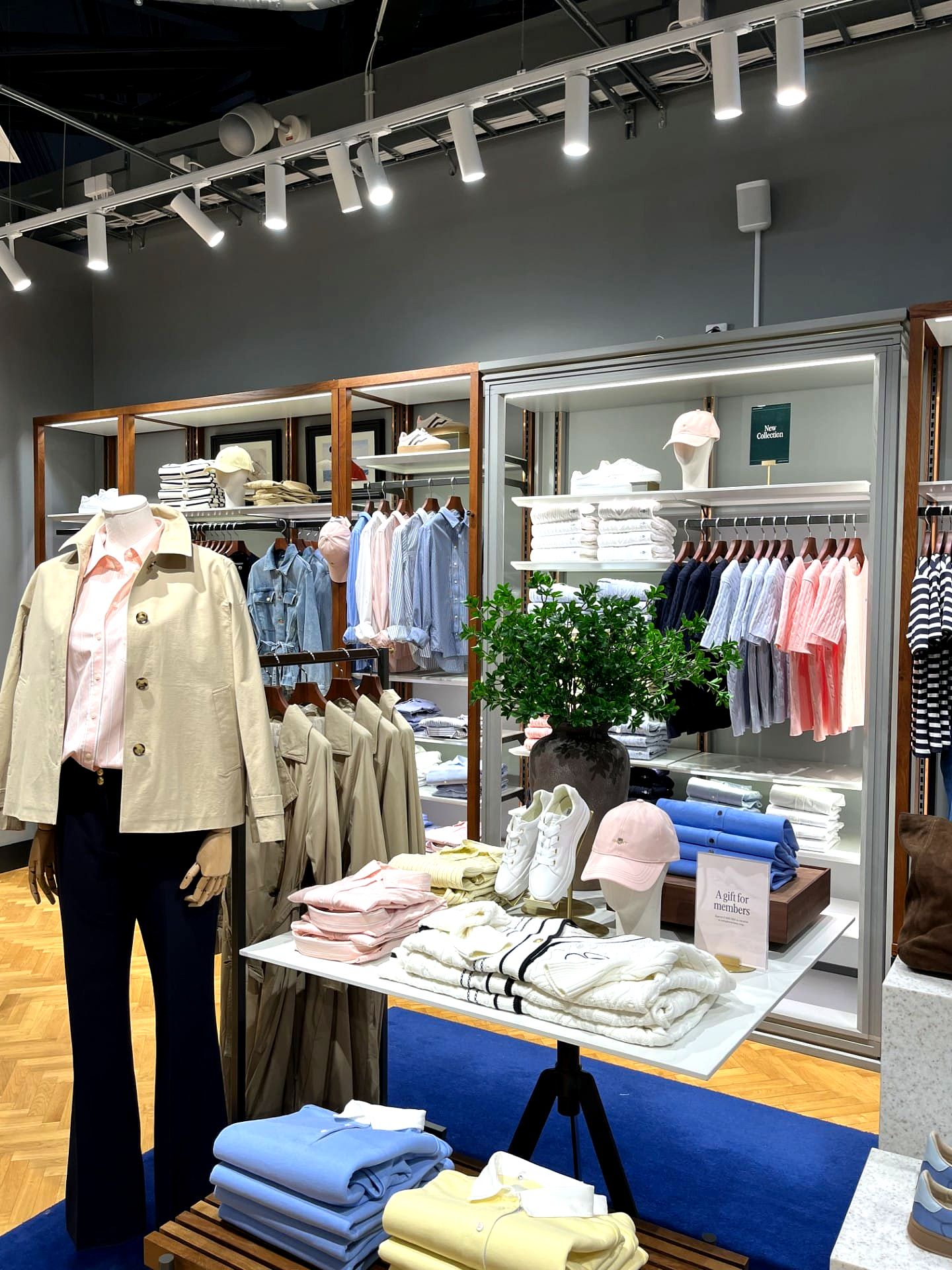 Gallery image 5